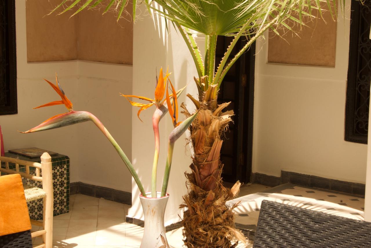 Riad Rockech