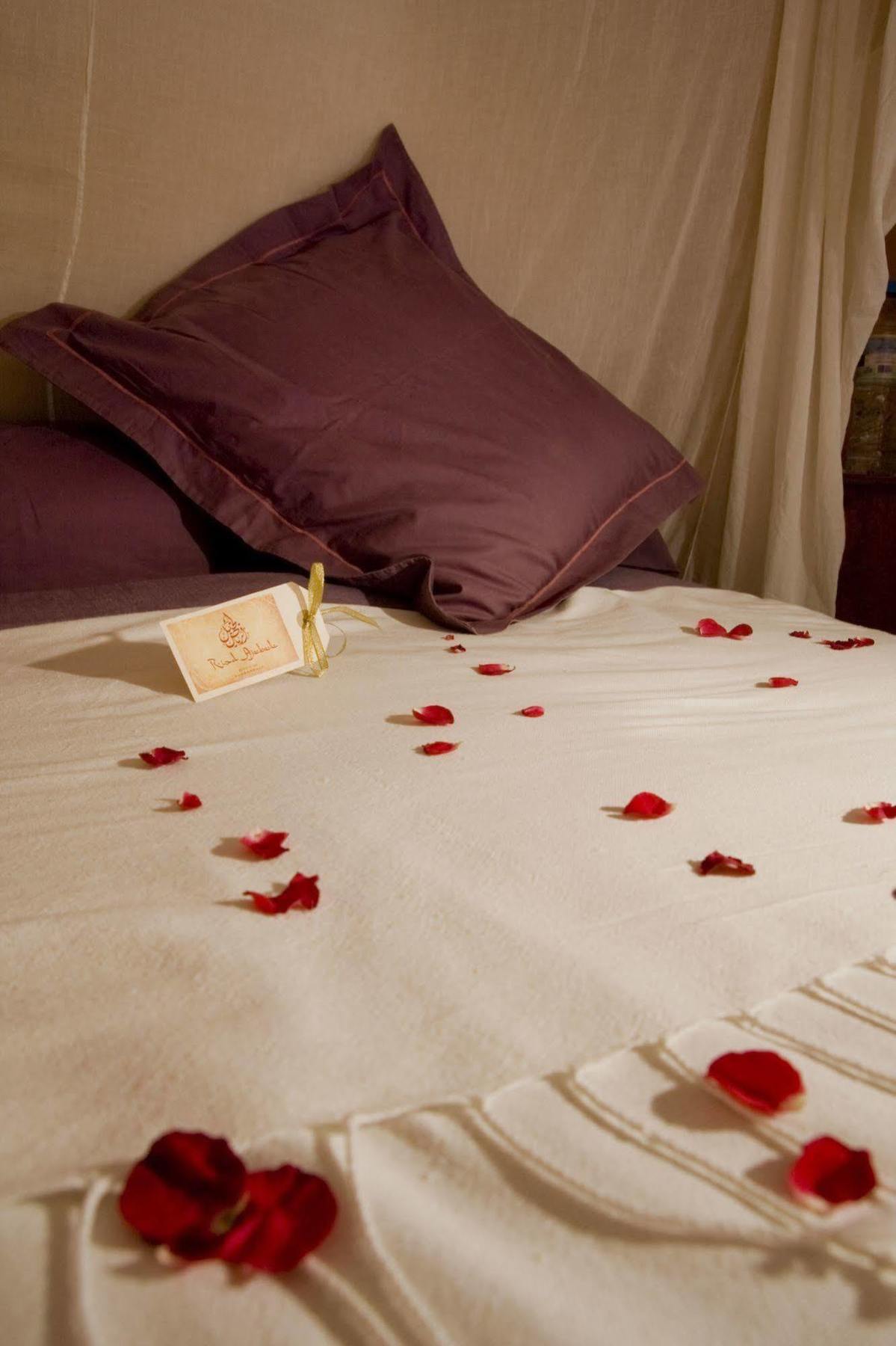 Ajebel Riad 4*