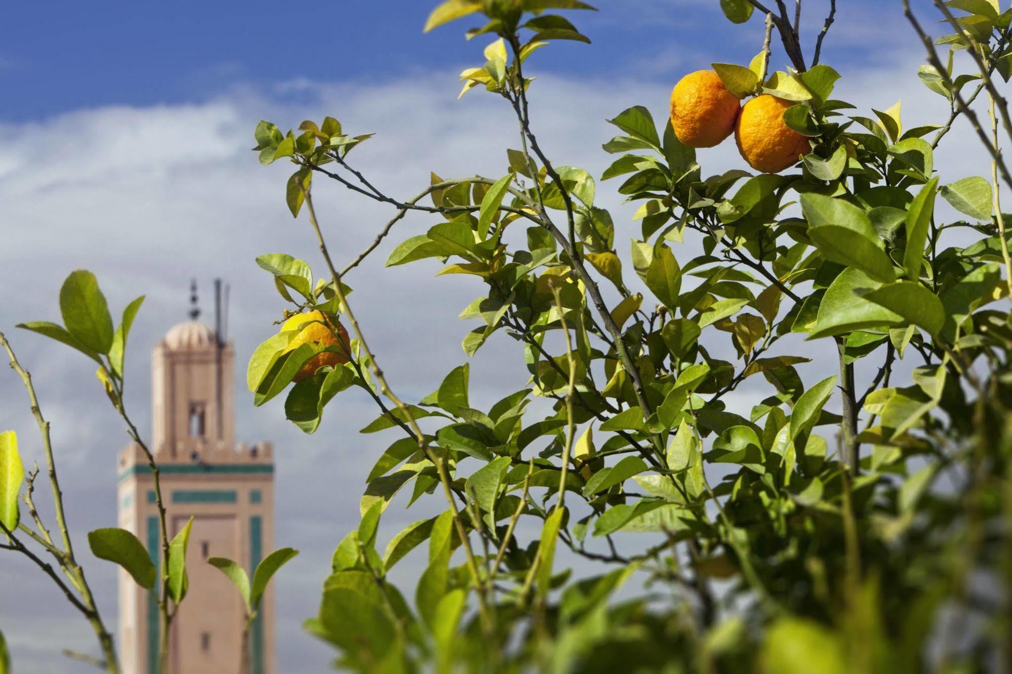 Le Farnatchi Riad