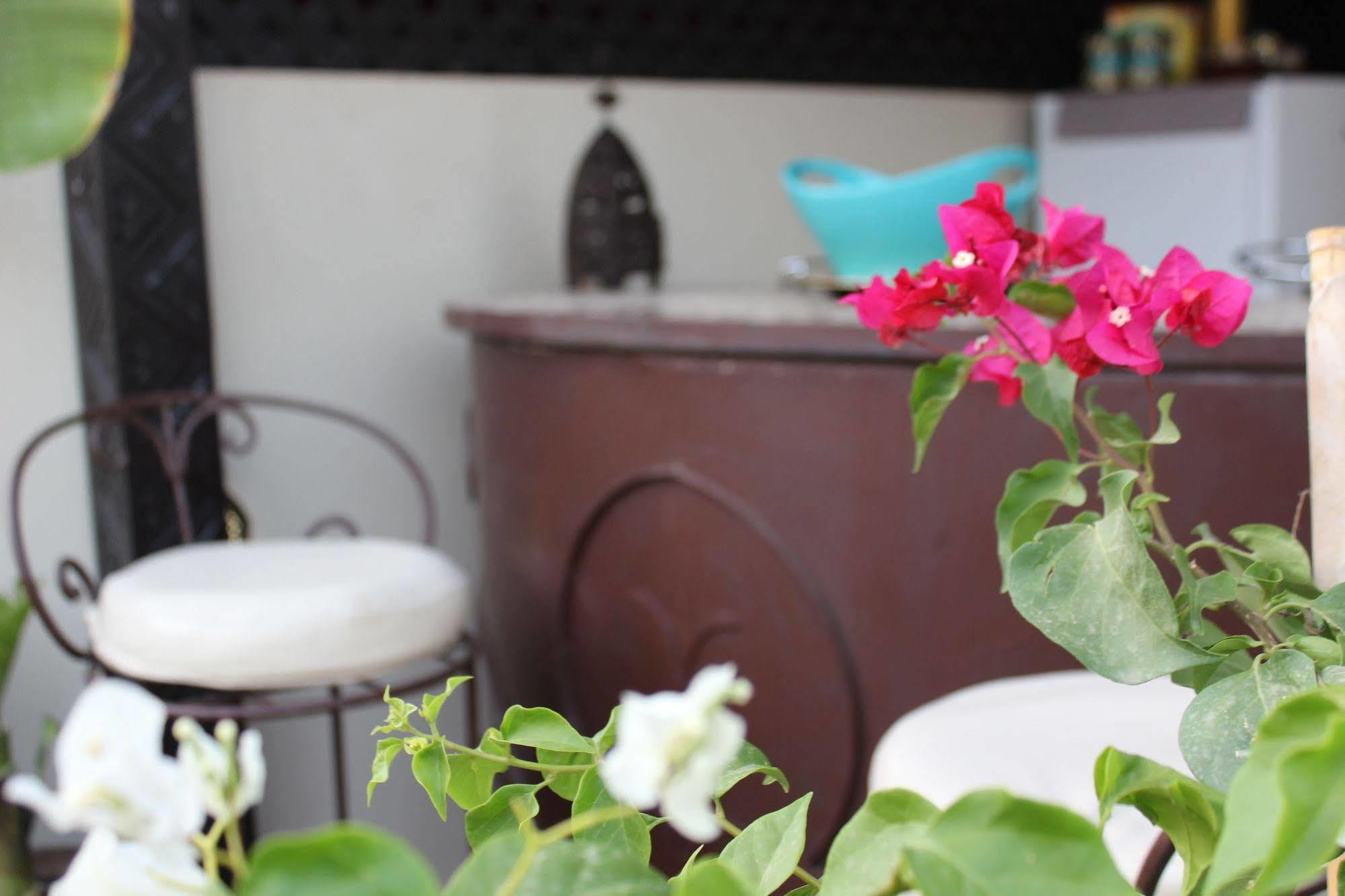 Guest house Reve D'or