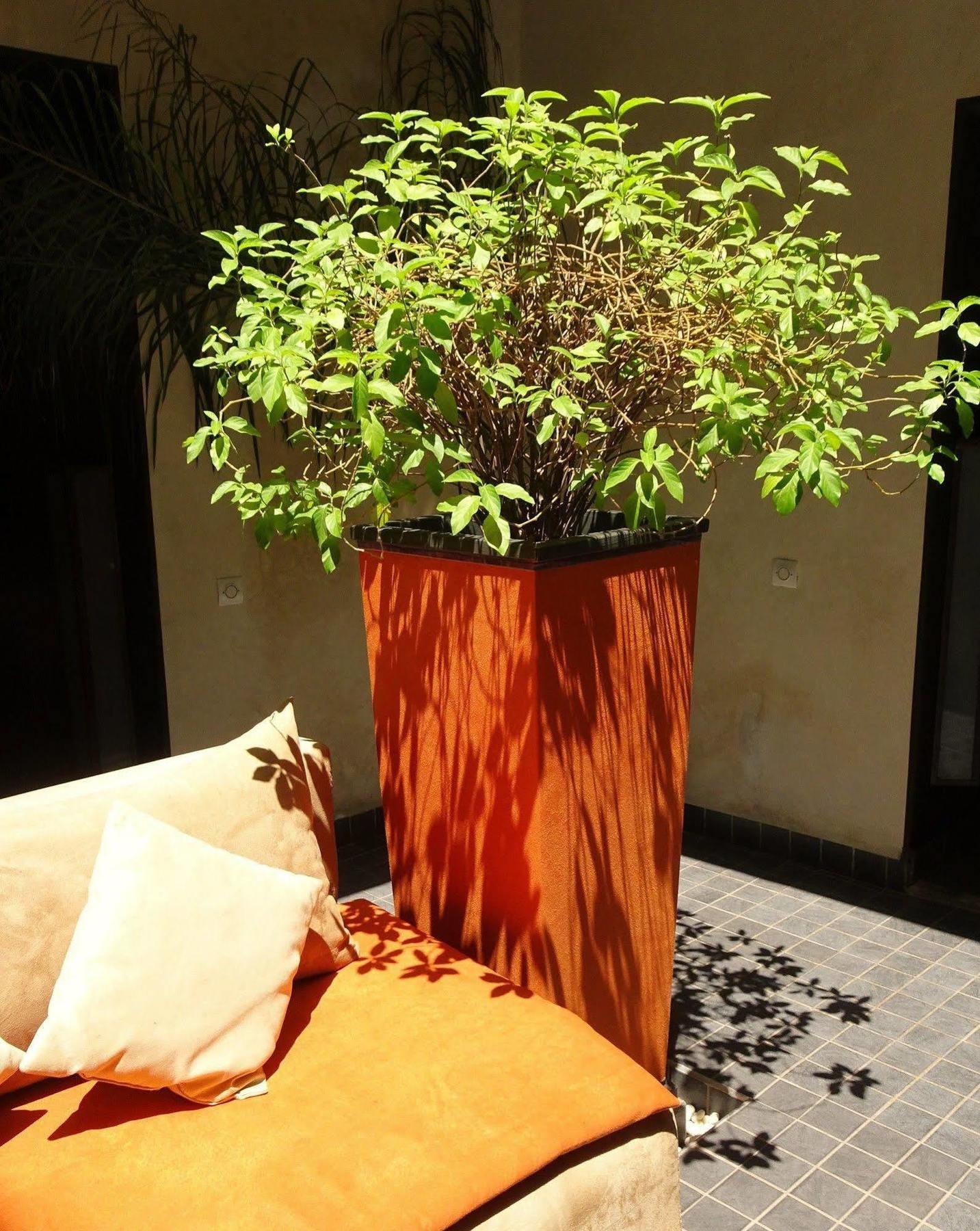 Riad Pierres Et Saveurs Soleil Riad