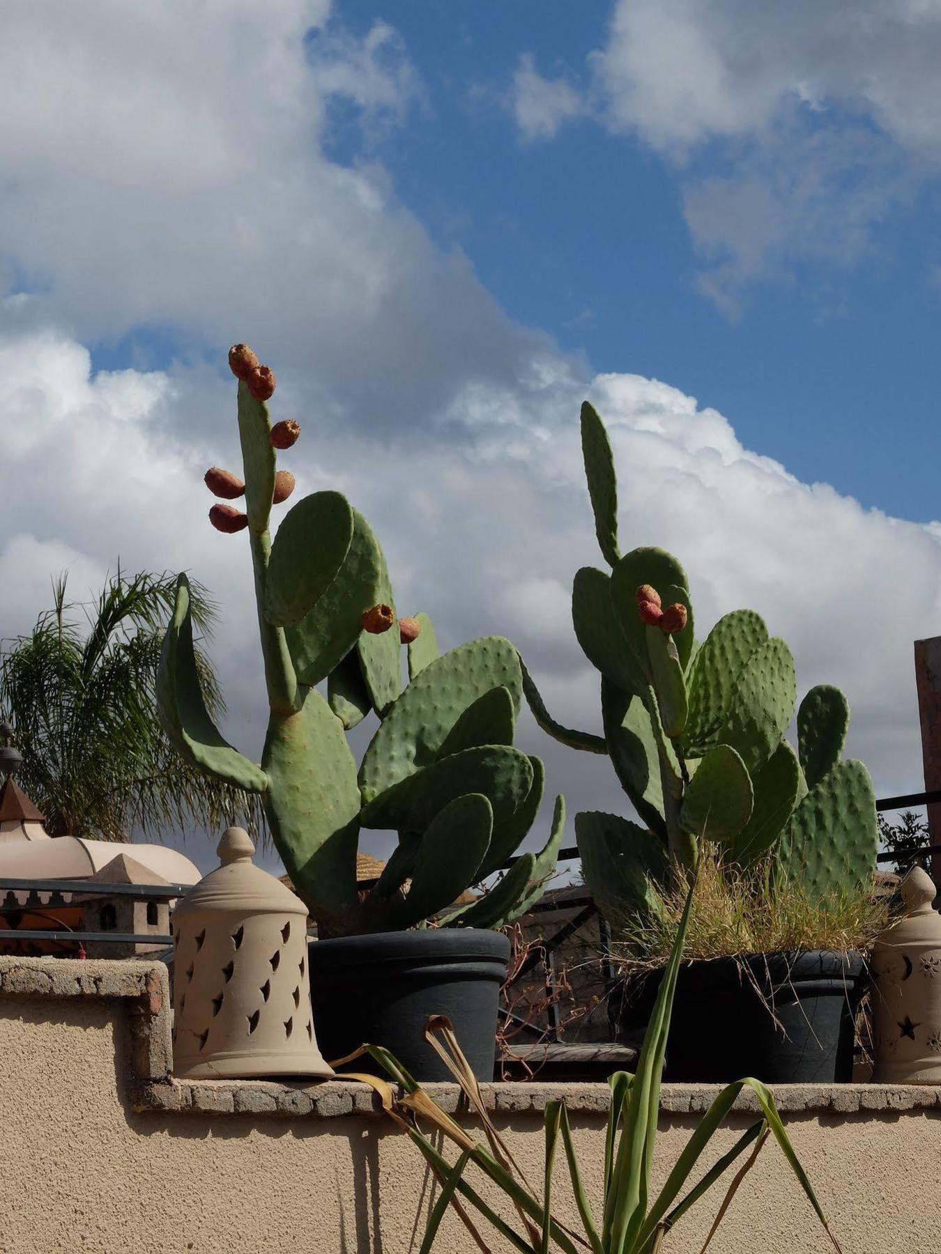 Riad Pierres Et Saveurs Soleil