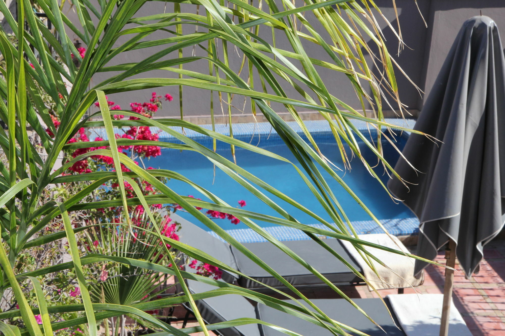 Terra Bahia Riad Marrakesh