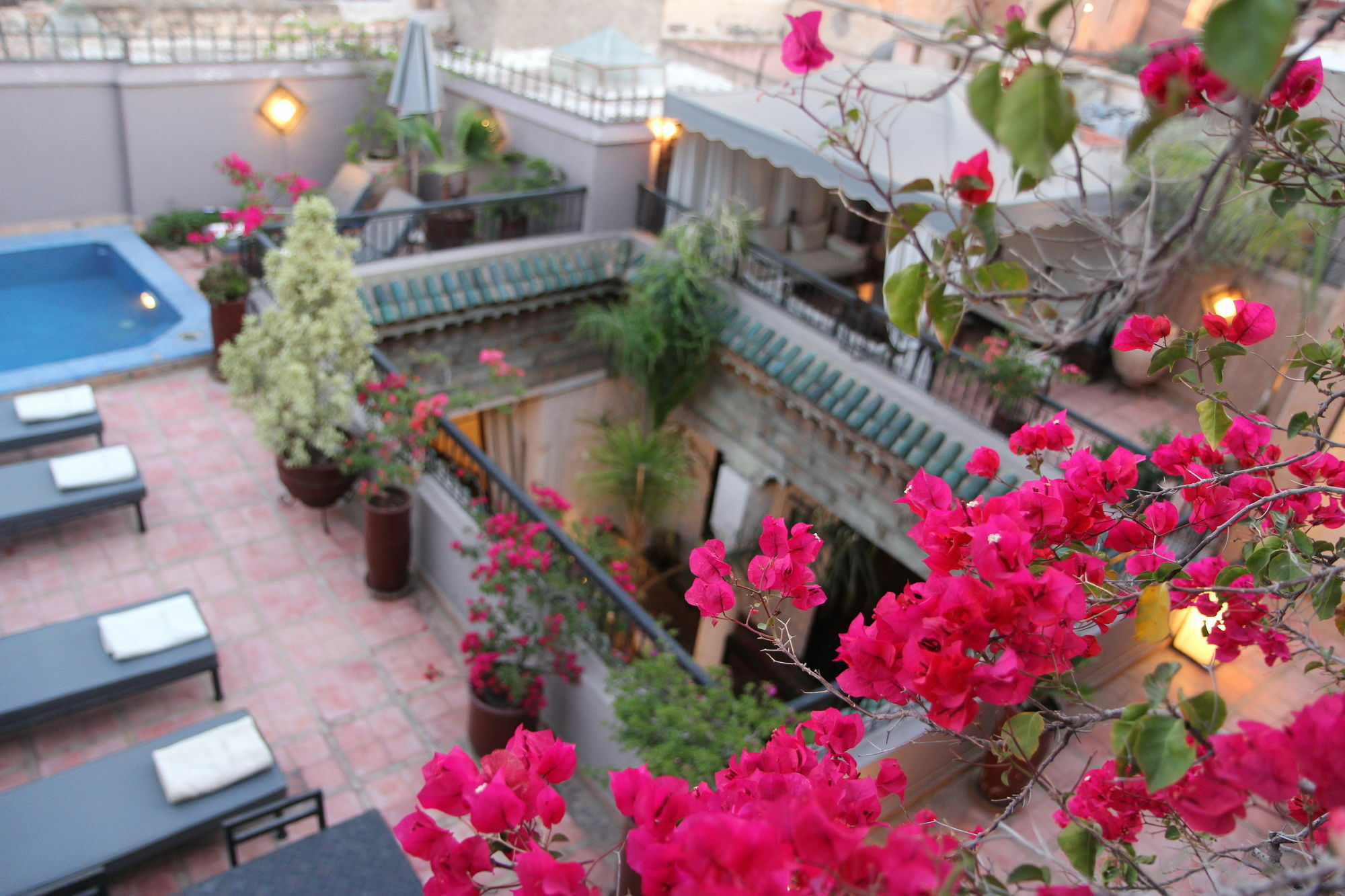 Terra Bahia Riad