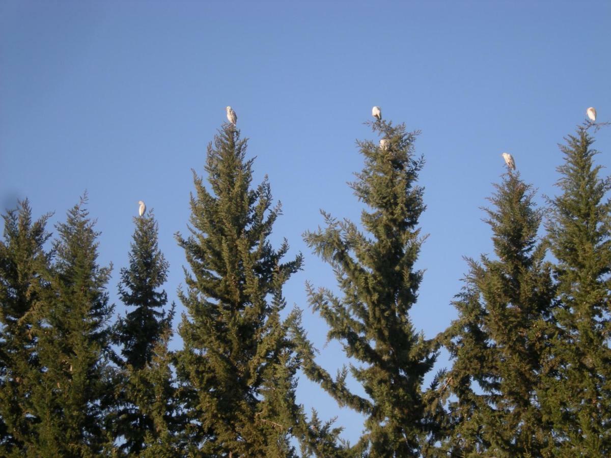 For - Families Only Nature Et Detente Villa *