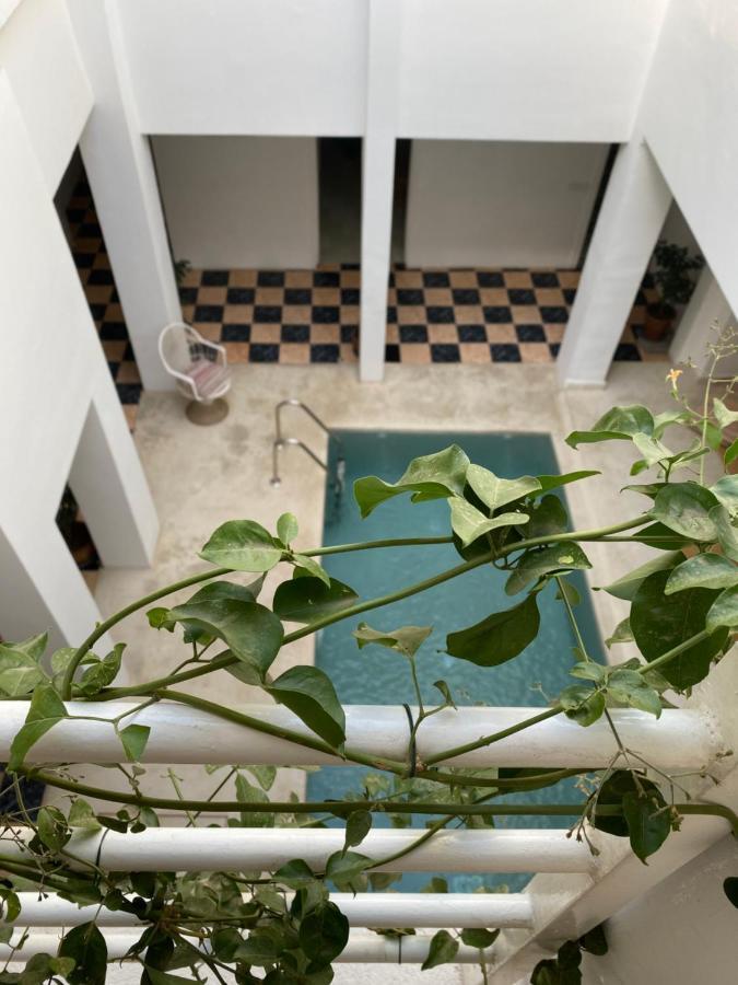Zwin Zwin Boutique-hotel Hotel