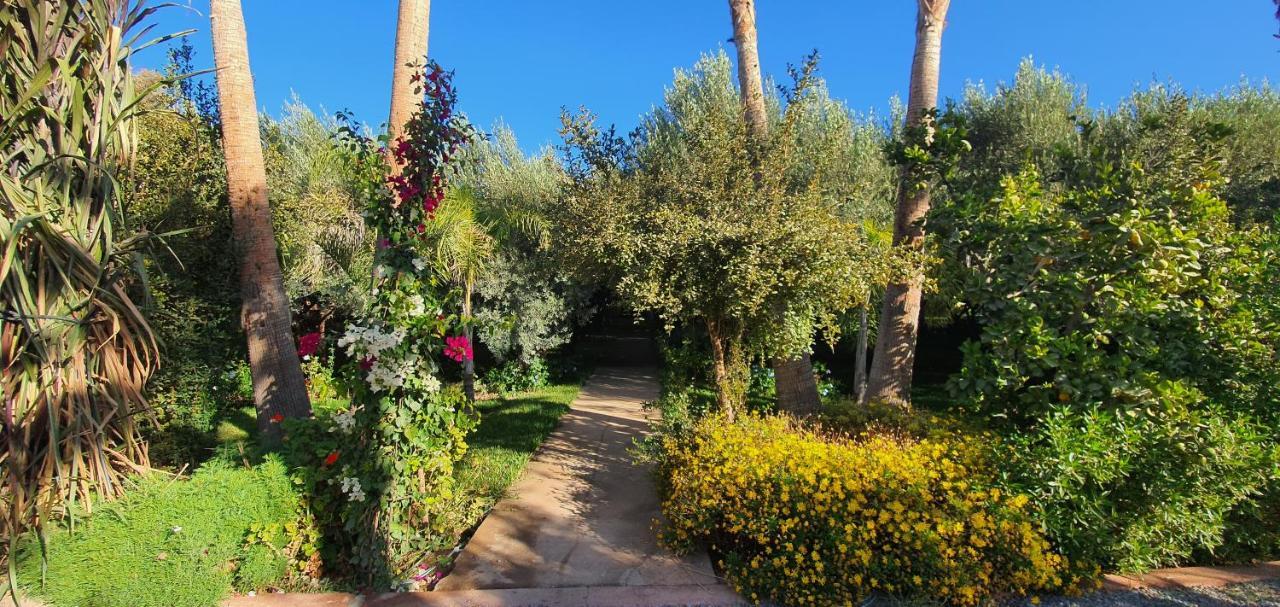 Riad Dar Gonzo &