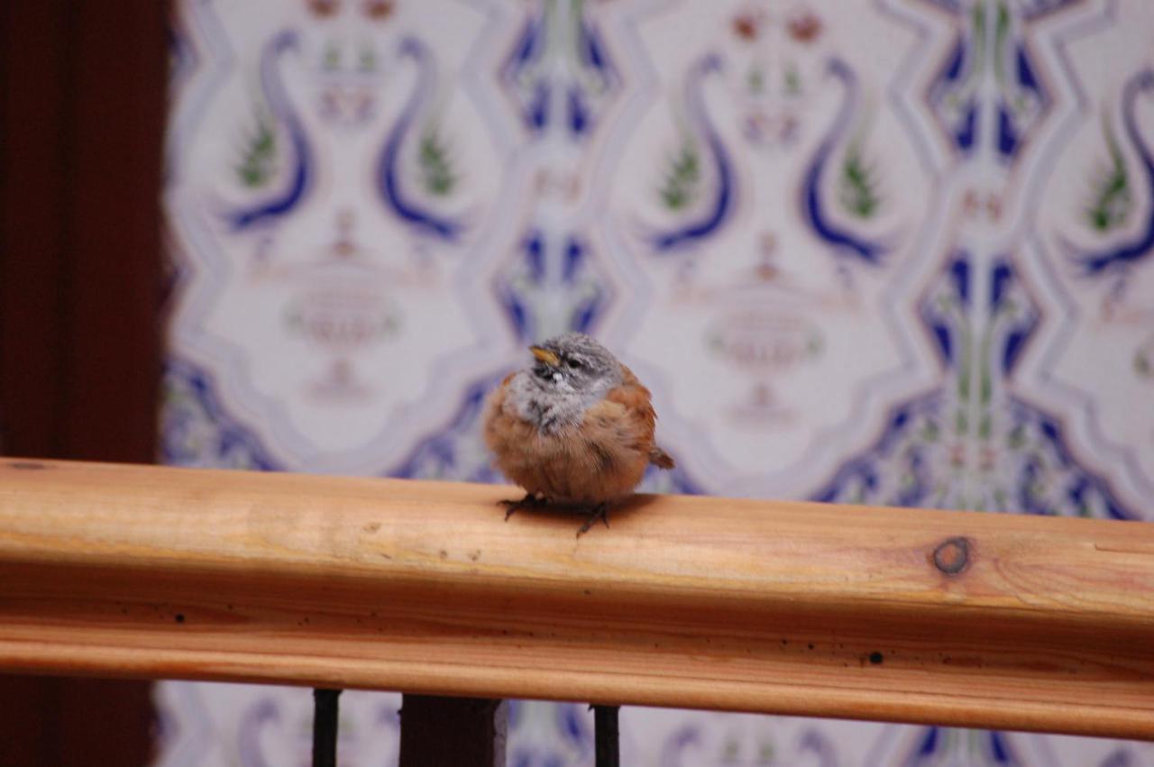 Dar Margot Marrakech 3* Marrakesh