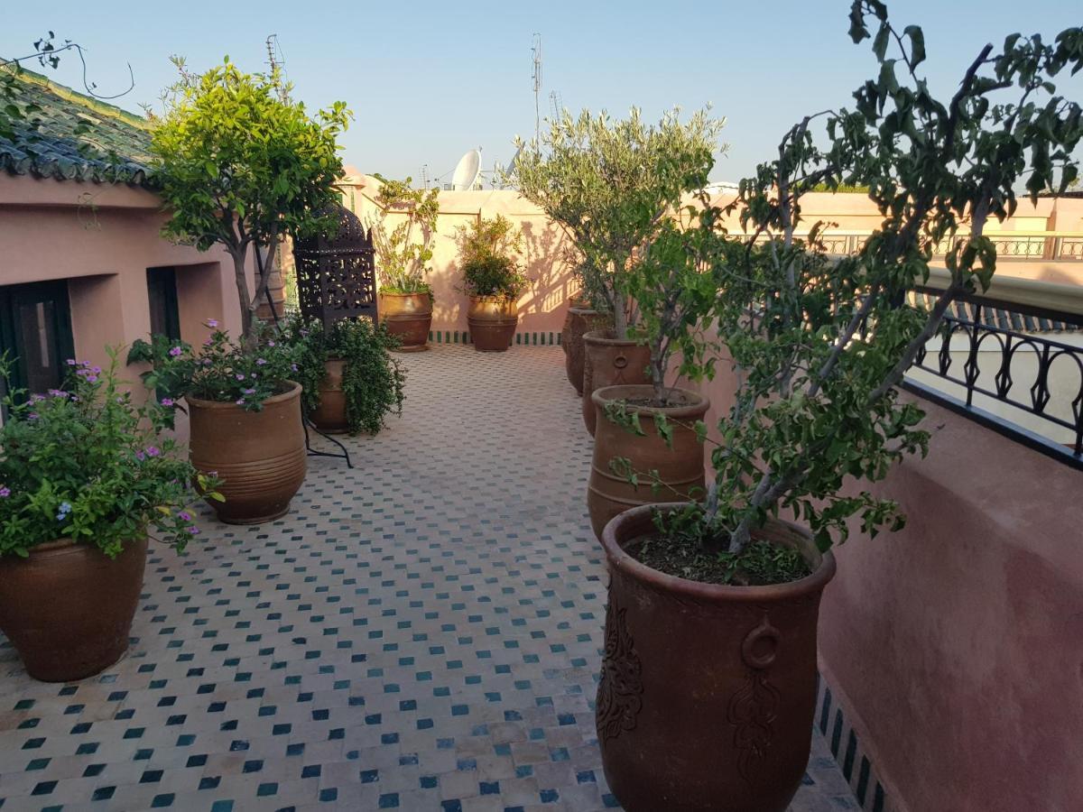 Riad Aventurine