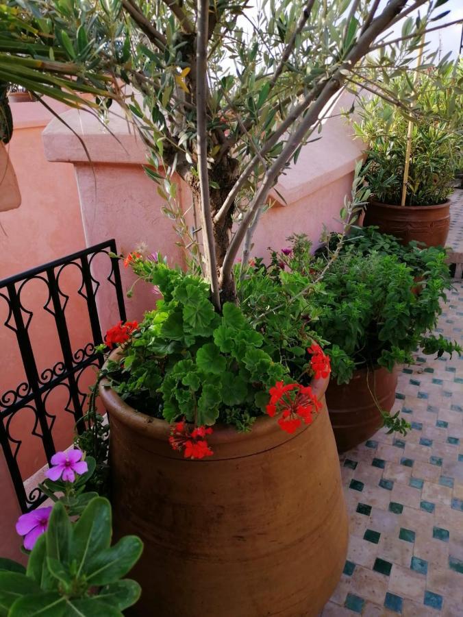 Aventurine Riad 3*